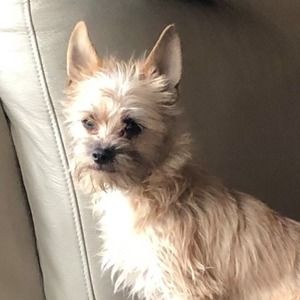 Meet your Posher, Maureen